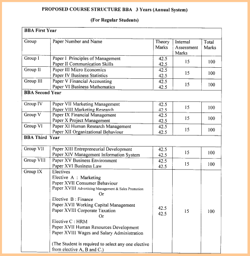 Chhindwara University BBA Syllabus